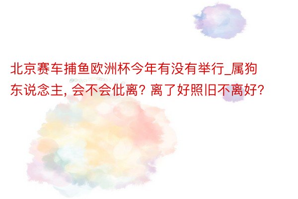 北京赛车捕鱼欧洲杯今年有没有举行_属狗东说念主， 会不会仳离? 离了好照旧不离好?